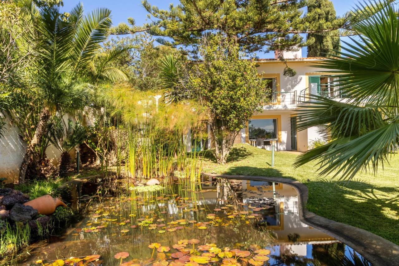 Villa Echium T1 Caniço Exteriér fotografie