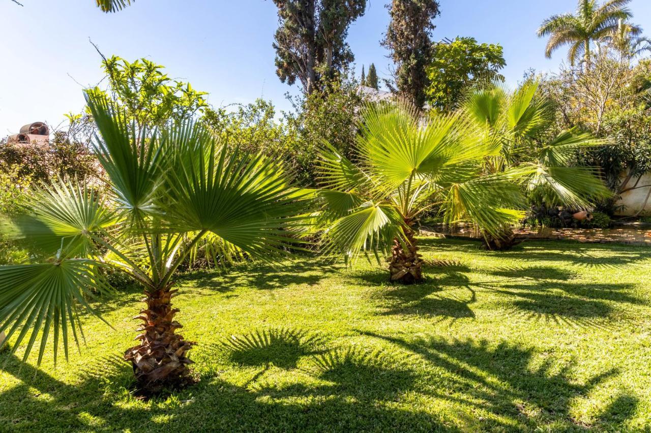 Villa Echium T1 Caniço Exteriér fotografie