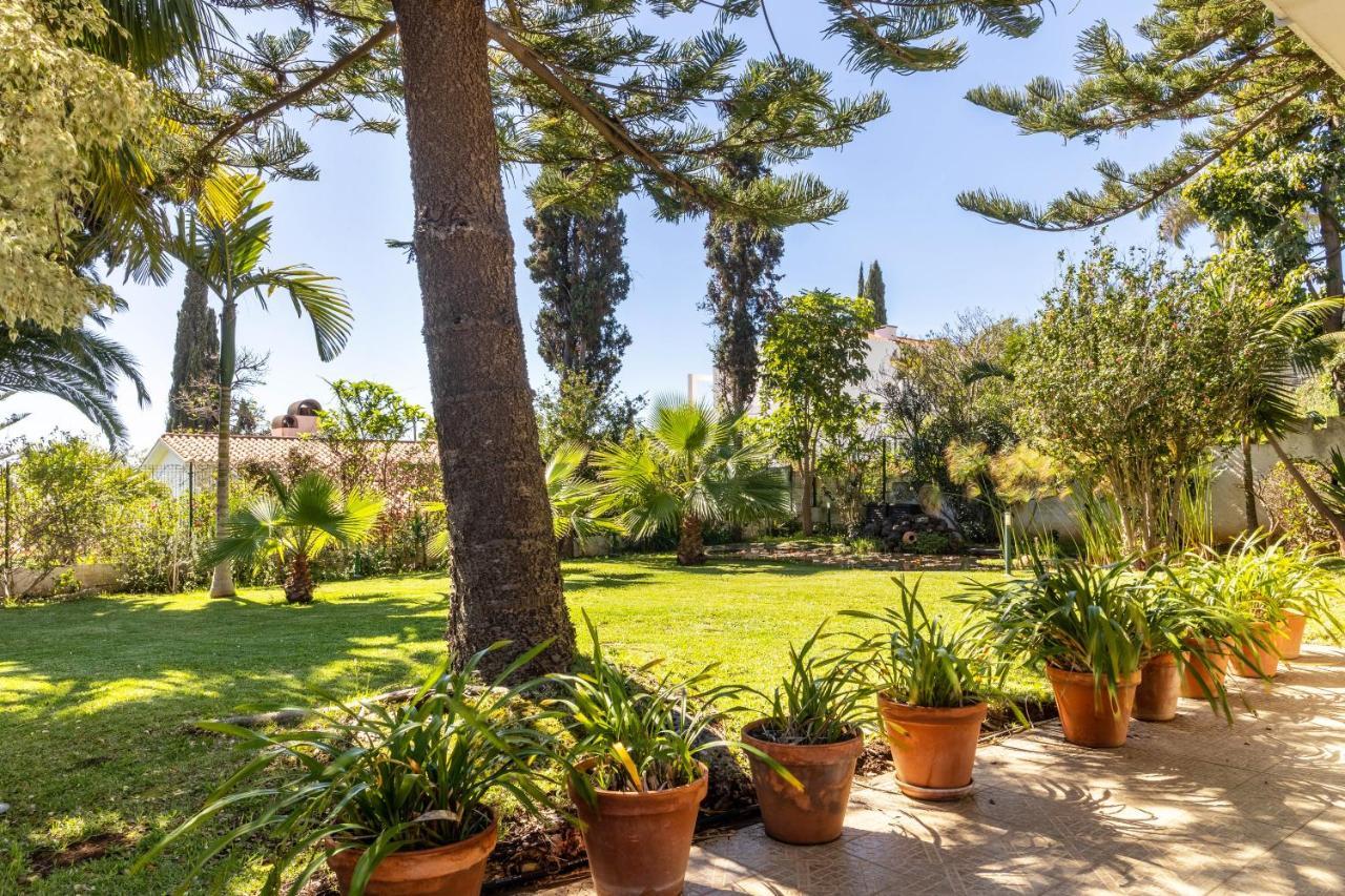 Villa Echium T1 Caniço Exteriér fotografie